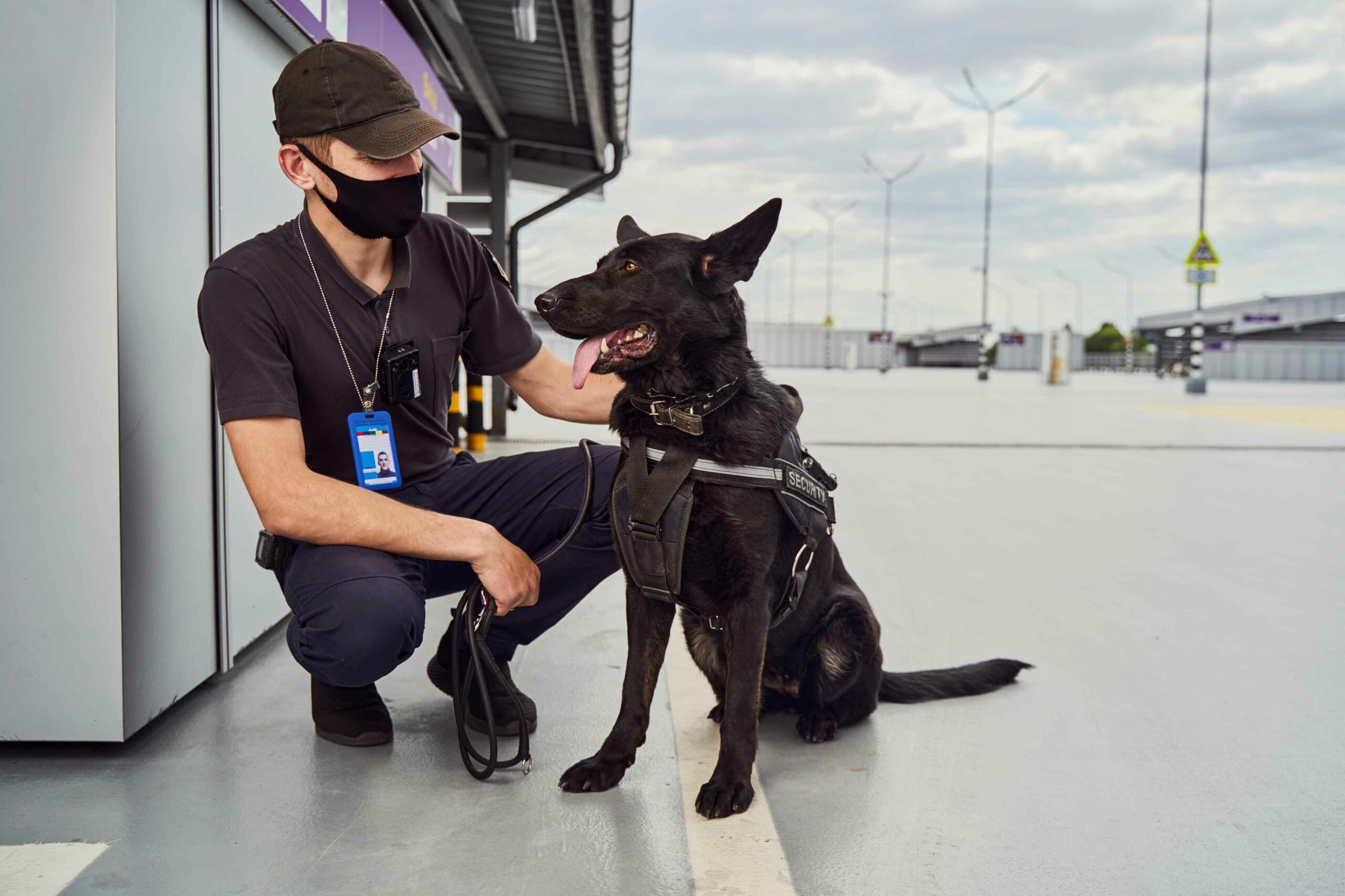 agent de sécurité cynophile assis à côté d'un chien